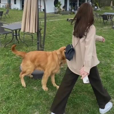 反正我就废海报